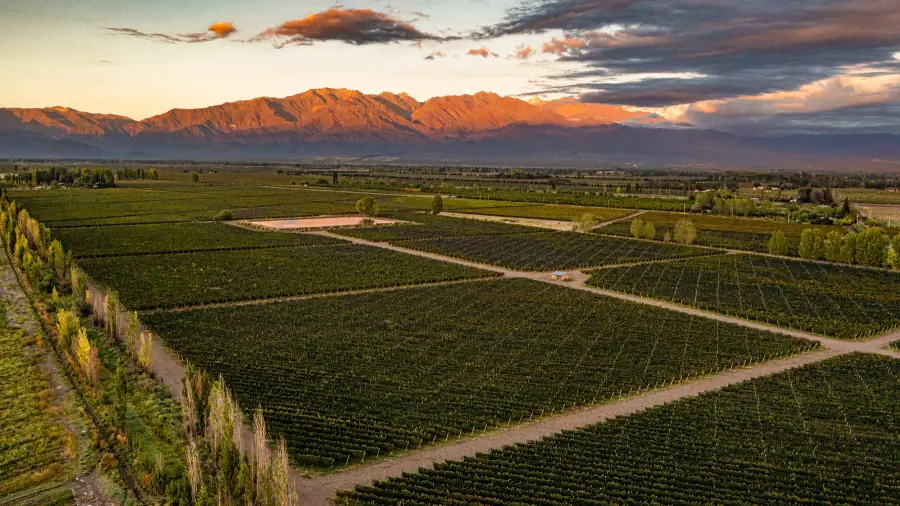 Finca Arcobaleno al atardecer, Valle de Uco